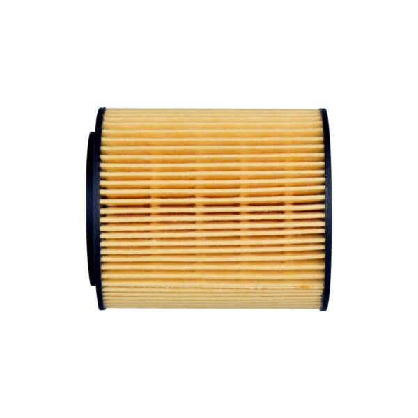 Filtro de Óleo Fiat Palio / Punto / Idea Motor E-Torq FO007S - Image 3