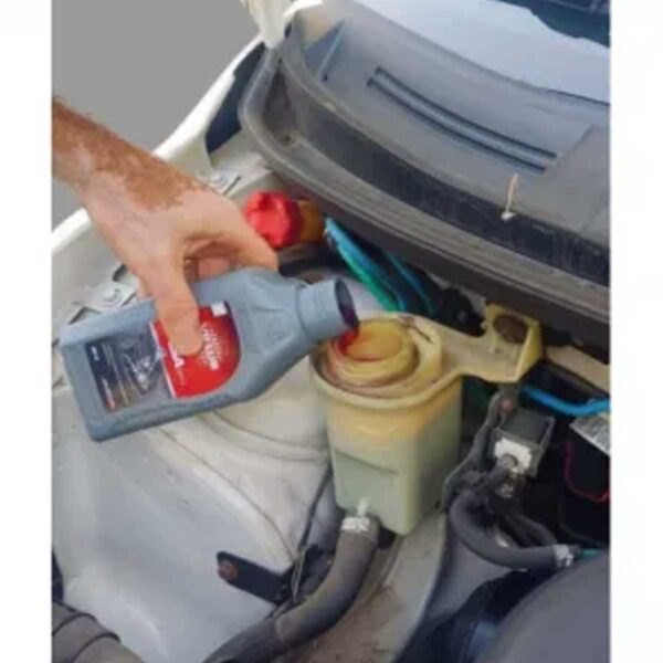 Óleo de Direção Hidráulica e Bengala de Moto Tasa Tipo A VR LUB 1 Litro - Imagem 5